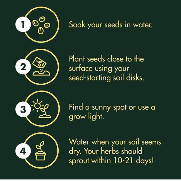 Indoor Herb Garden Starter Kit - Basil Thyme Parsley Cilantro Seed - Picture 5 of 6